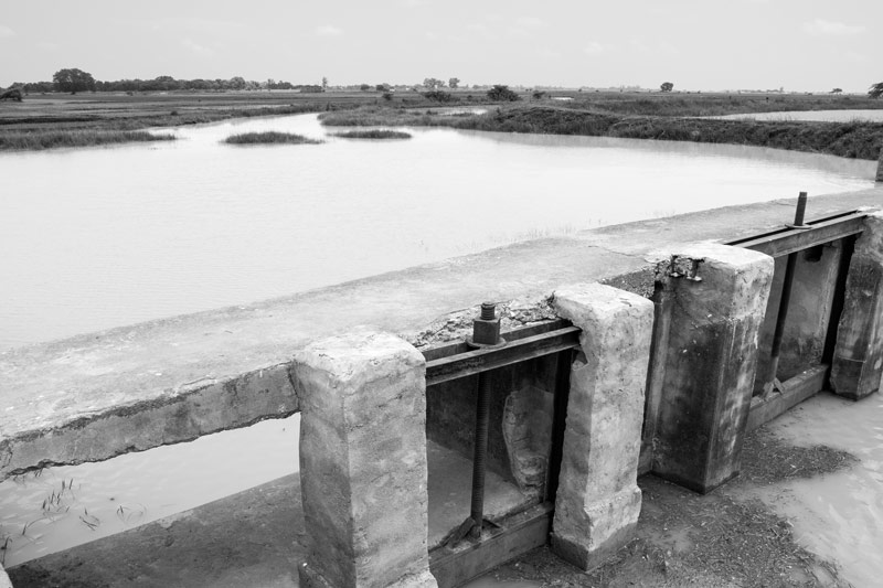 Karath Pyne originating from the sluice gates at Patesar Ahar in Kaimur district, Bihar